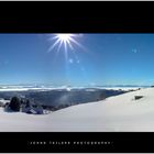 White Forest Panorama