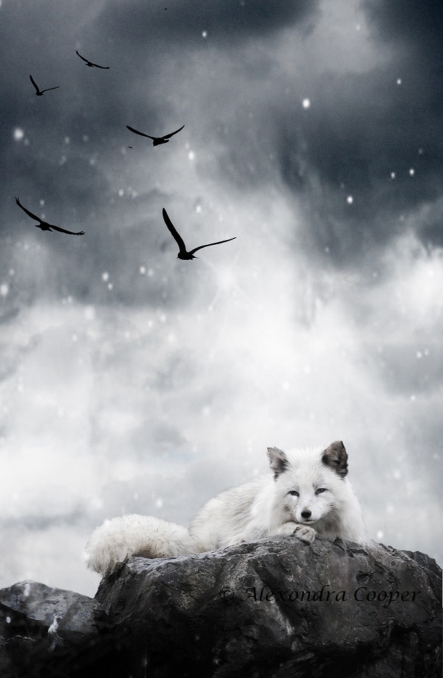 White Fox