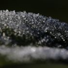White frost in January 2021 - Image 4
