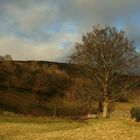 White Gate in the Dales