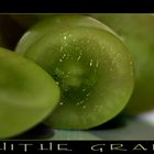 - White Grape -