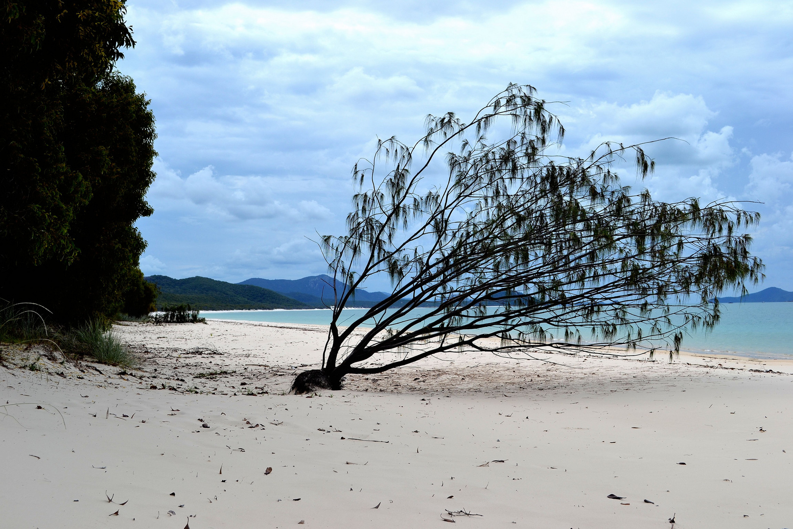 White Haven Beach