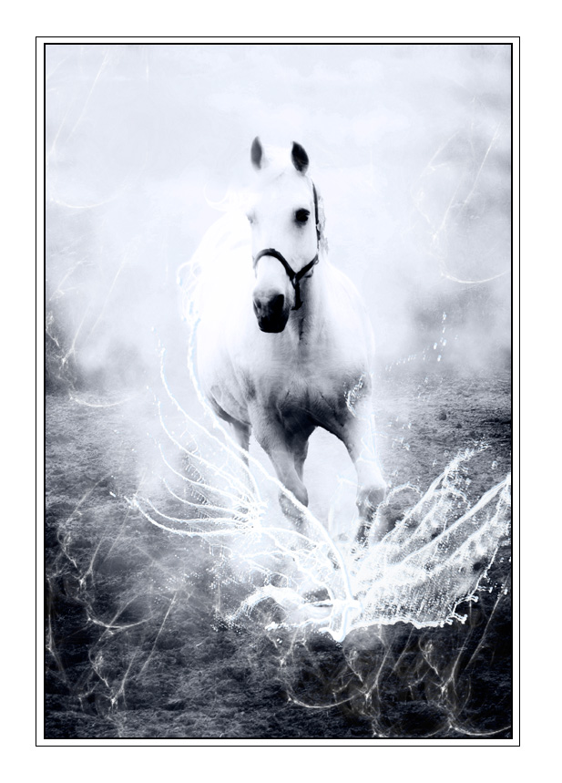 White Horse