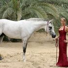 [white horse with red dressed woman]