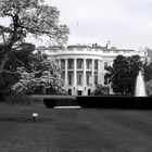 White House