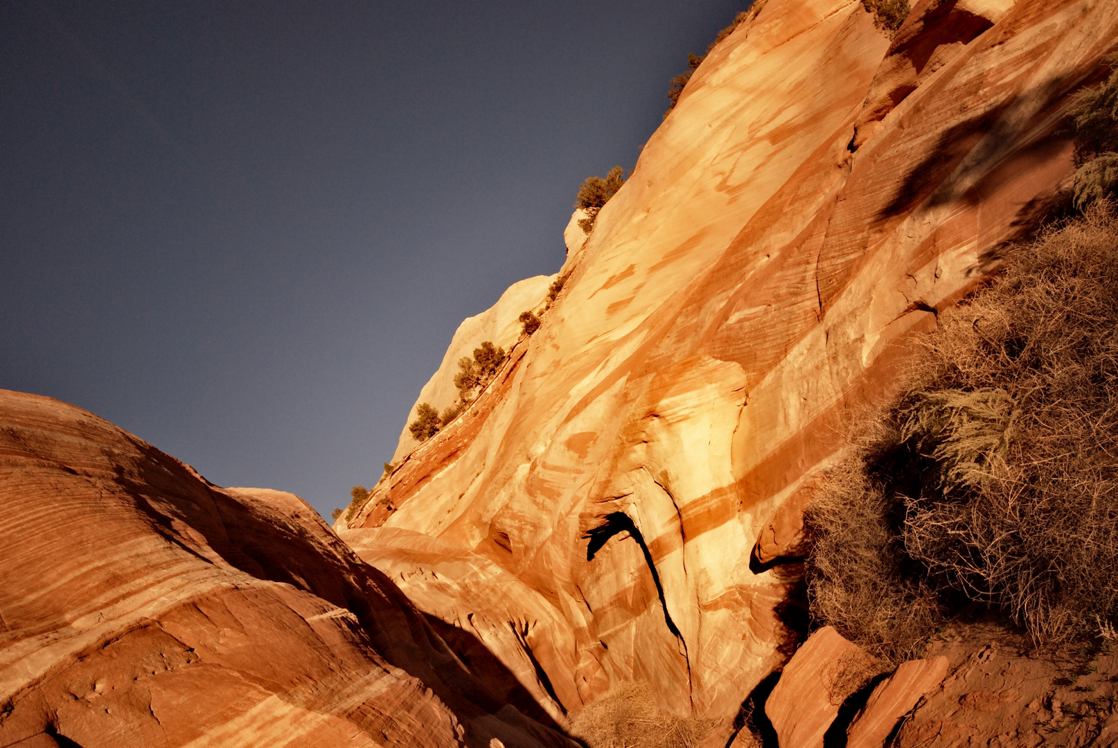 White House Trailhead, Arizona