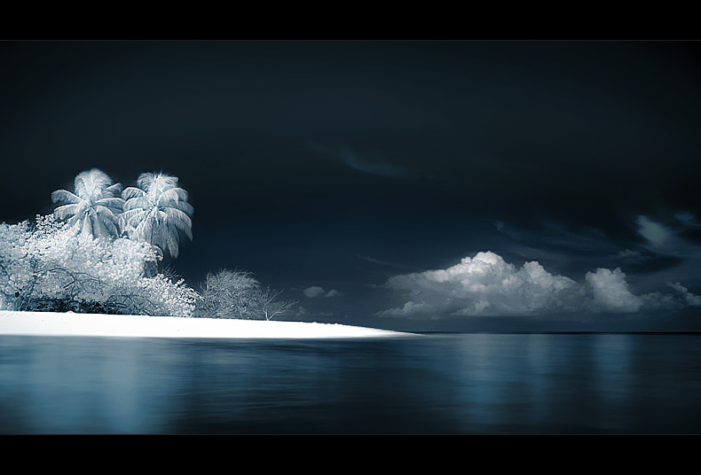 White Island von Michael S Braun