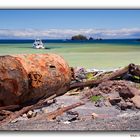 White Island (Whakaari) 10