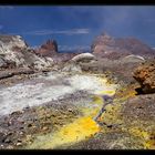 White Island (Whakaari) 8