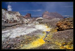 White Island (Whakaari) 8