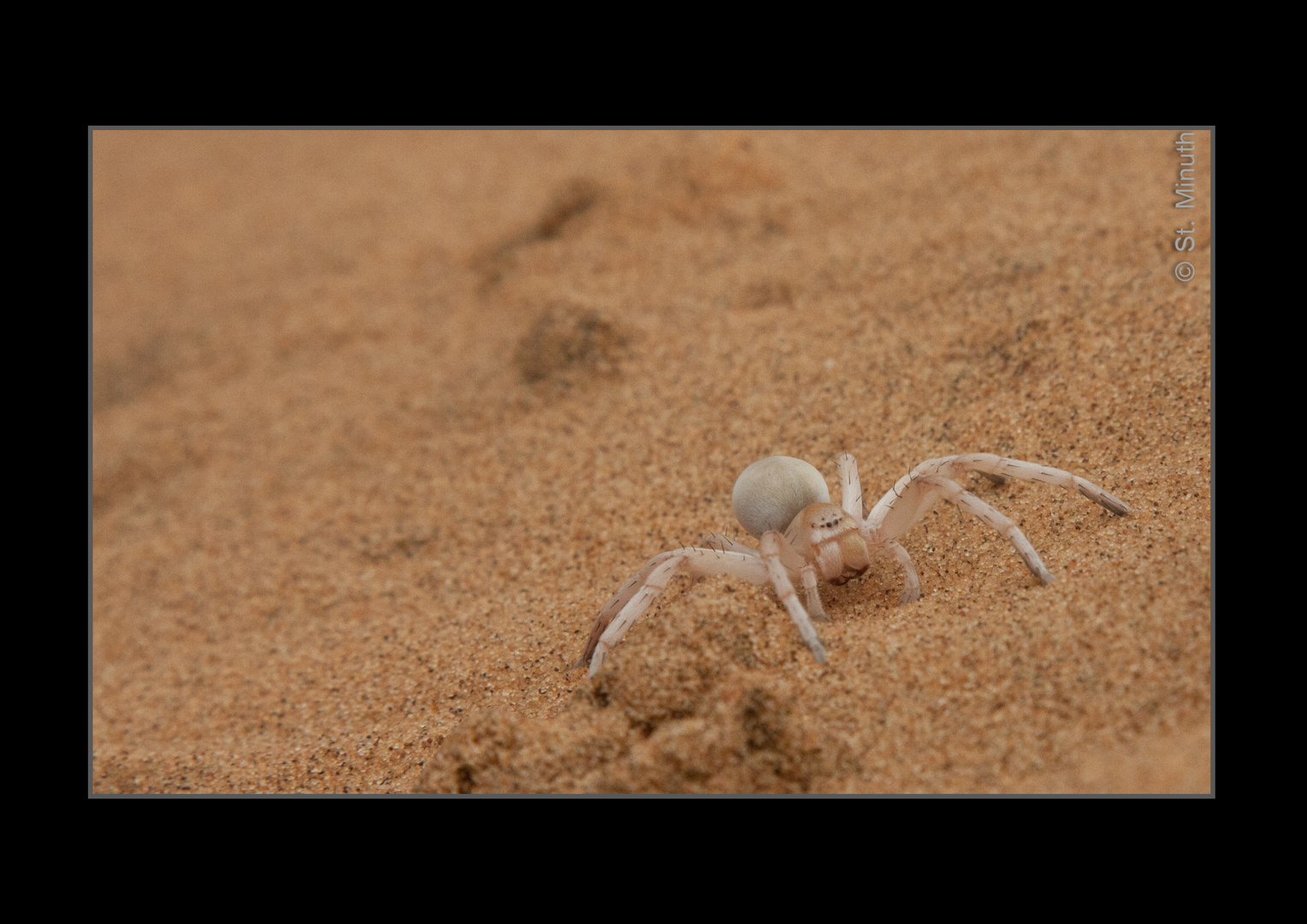 White Lady in der Namib