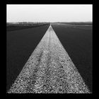 White Line - Berlin Tempelhof