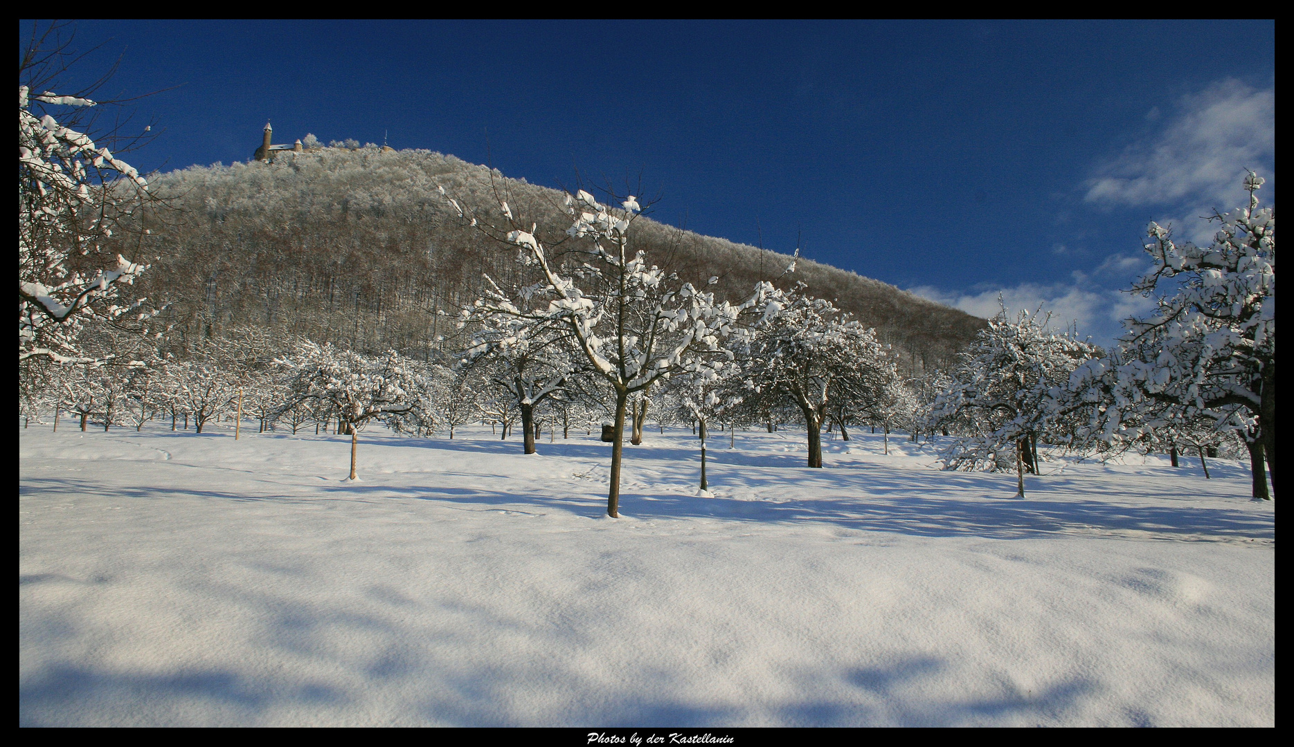 White meets blue