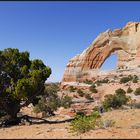 White Mesa Arch (1)