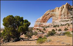 White Mesa Arch (1)