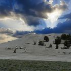 White Montain  Range                                  DSC_4715