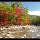 White Mountains