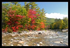 White Mountains