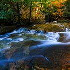 White Mountains Fall