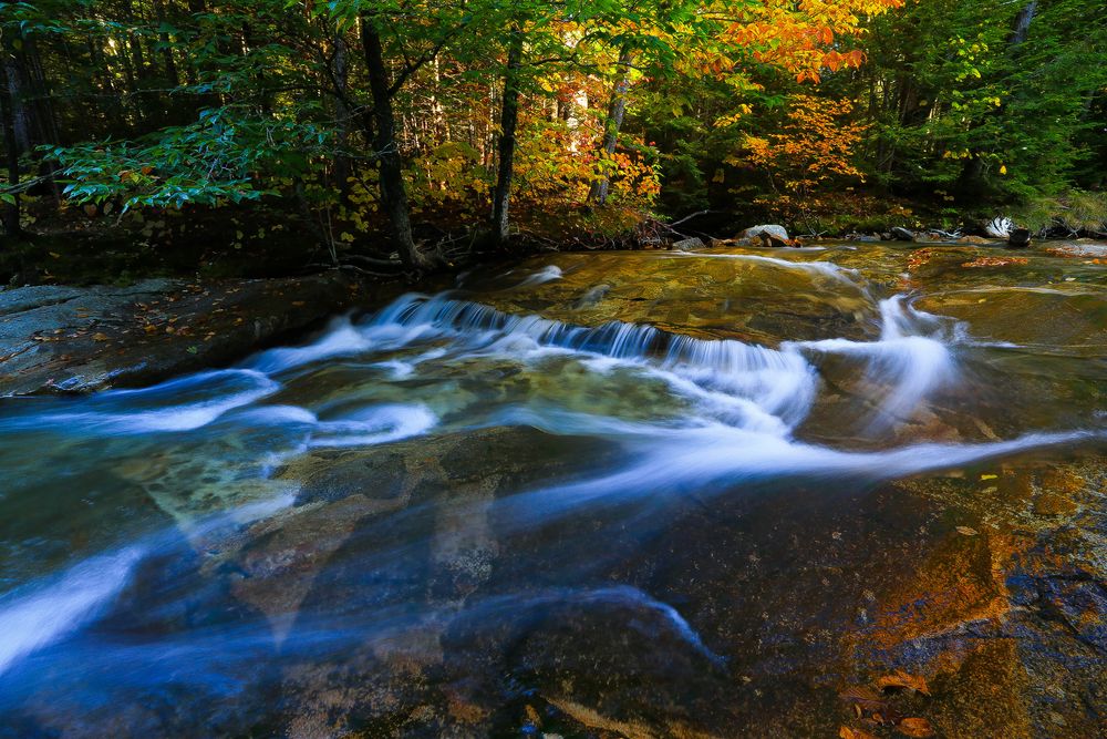 White Mountains Fall