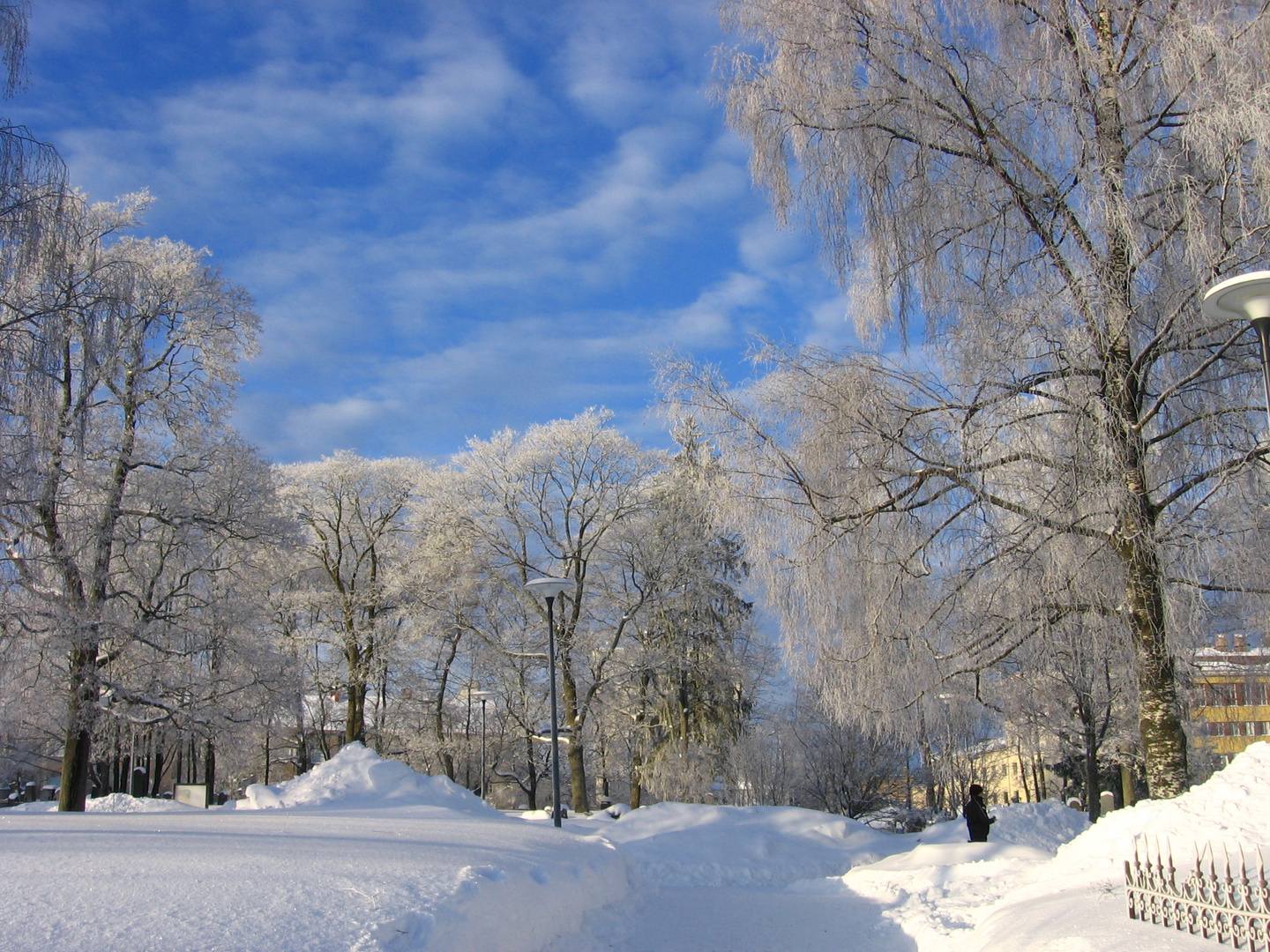 white-n-blue