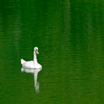 white on green