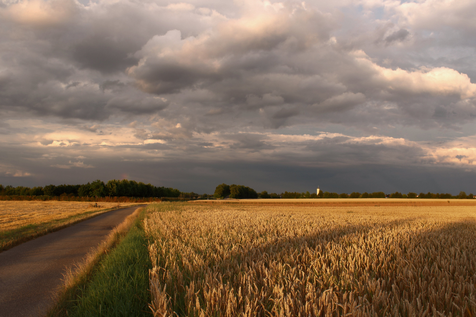 White open fields