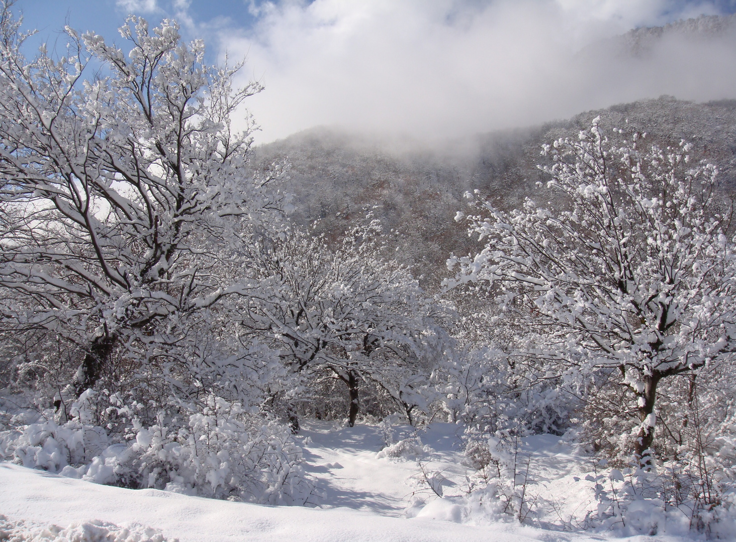 White paradise !