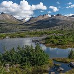 White Pass