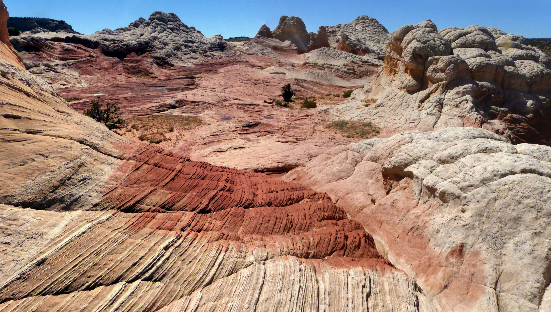 White Pocket Panorama