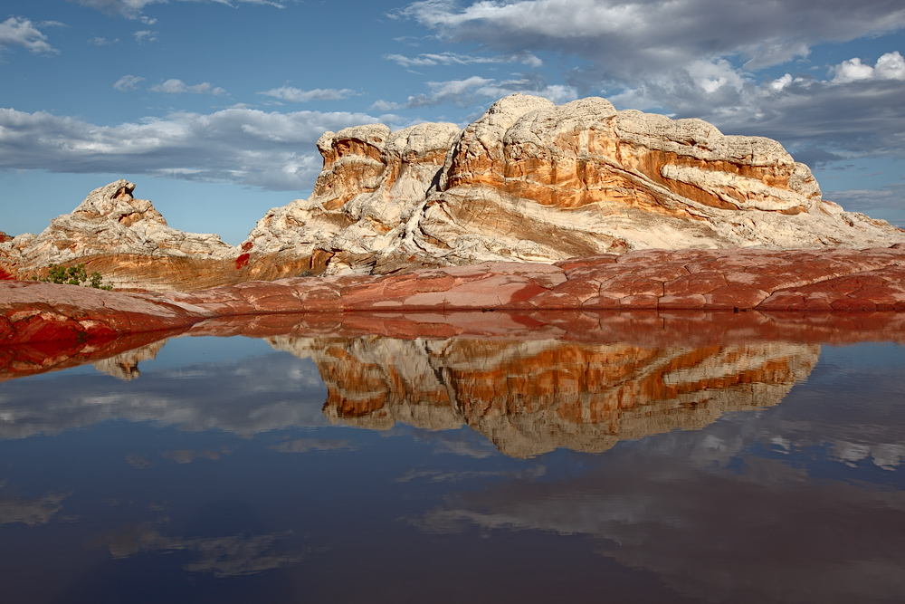 White Pocket Pools