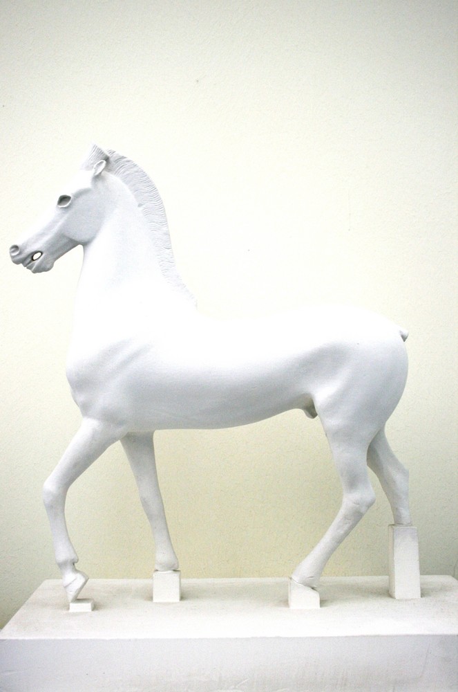 white pony.