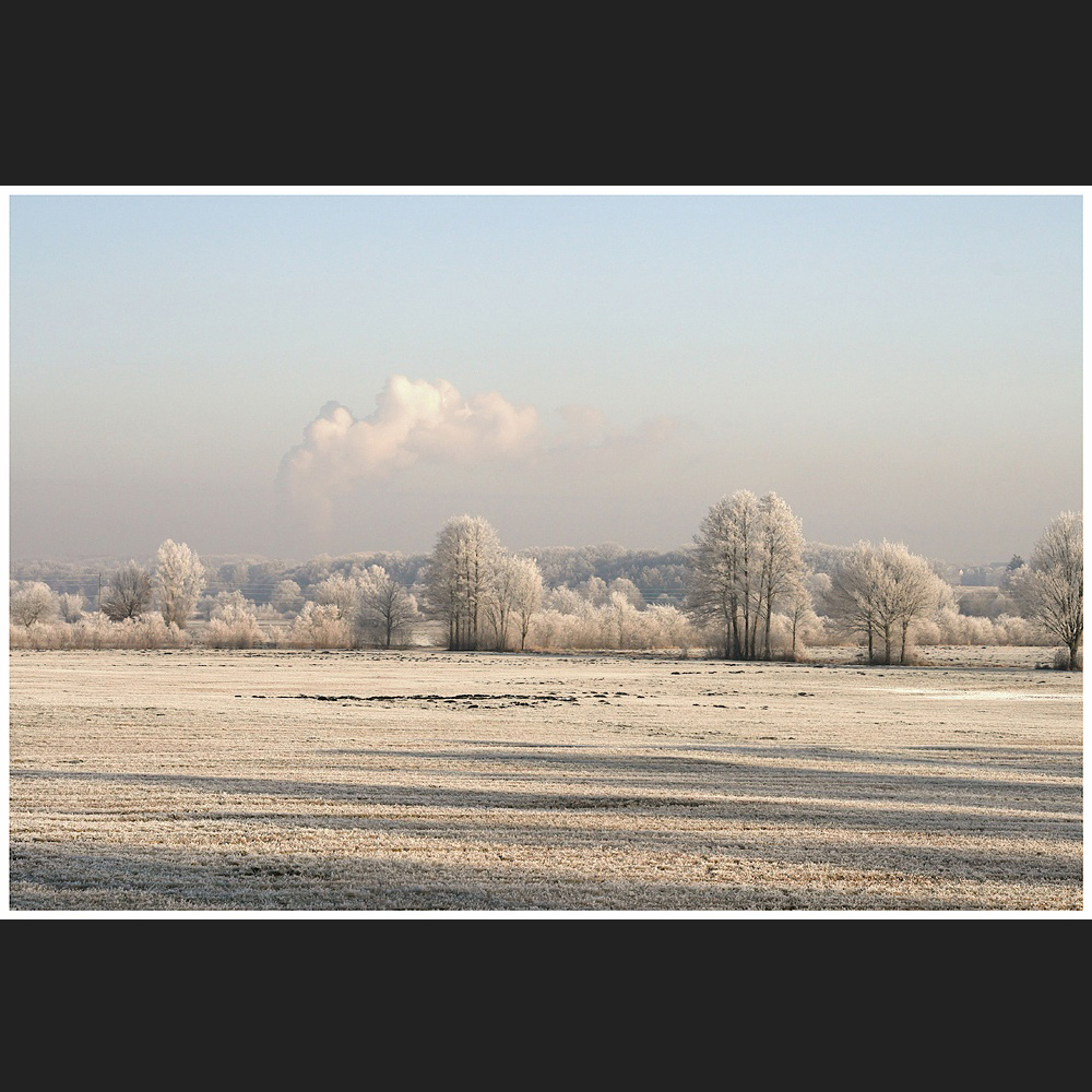 white powdered landscape