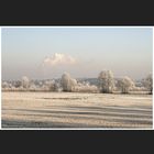 white powdered landscape