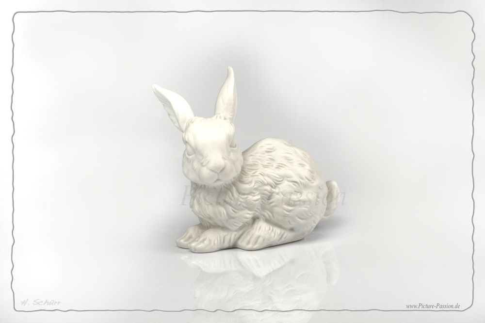 "White Rabbit"