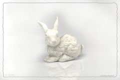 "White Rabbit"