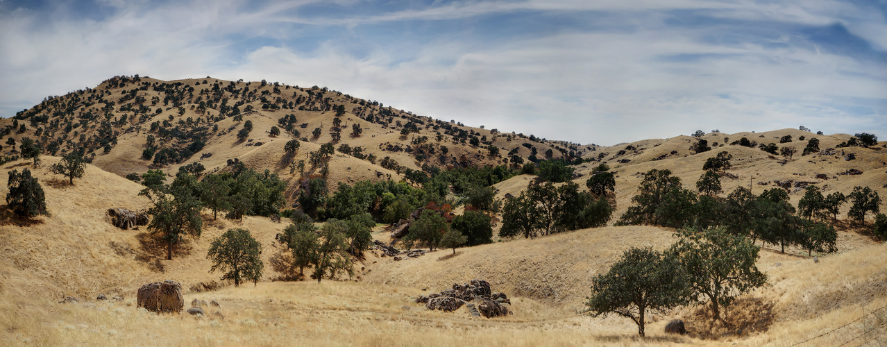 White River Landscape