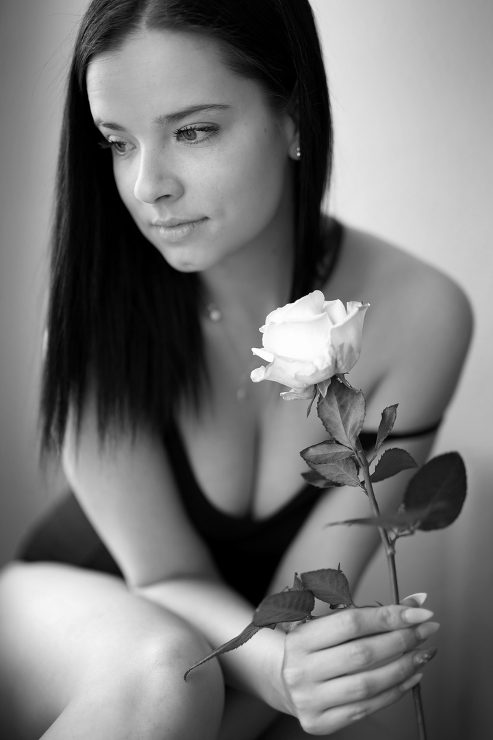 White Rose