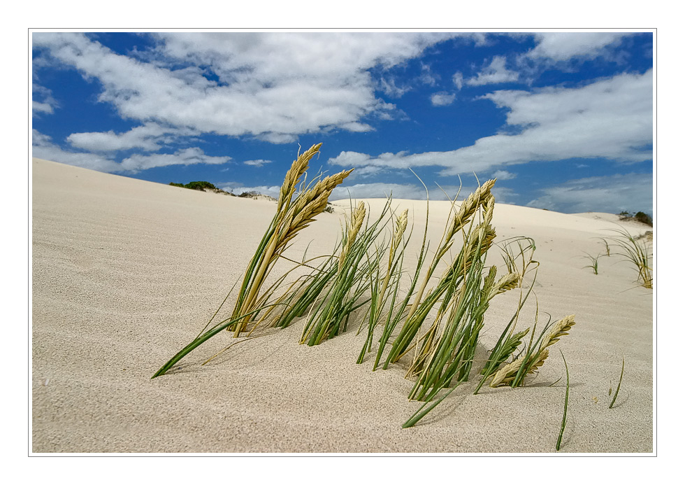 white sand