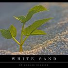 ~~ White Sand ~~