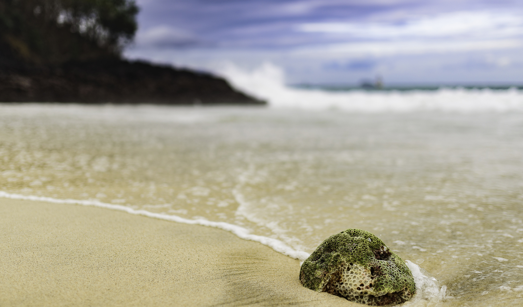 White Sand Beach