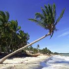 White-sand Beach, Vietnam