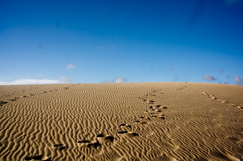 White Sand Dunes at Mui Ne (Vietnam)