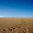 White Sand Dunes at Mui Ne (Vietnam)