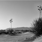 White Sands 01