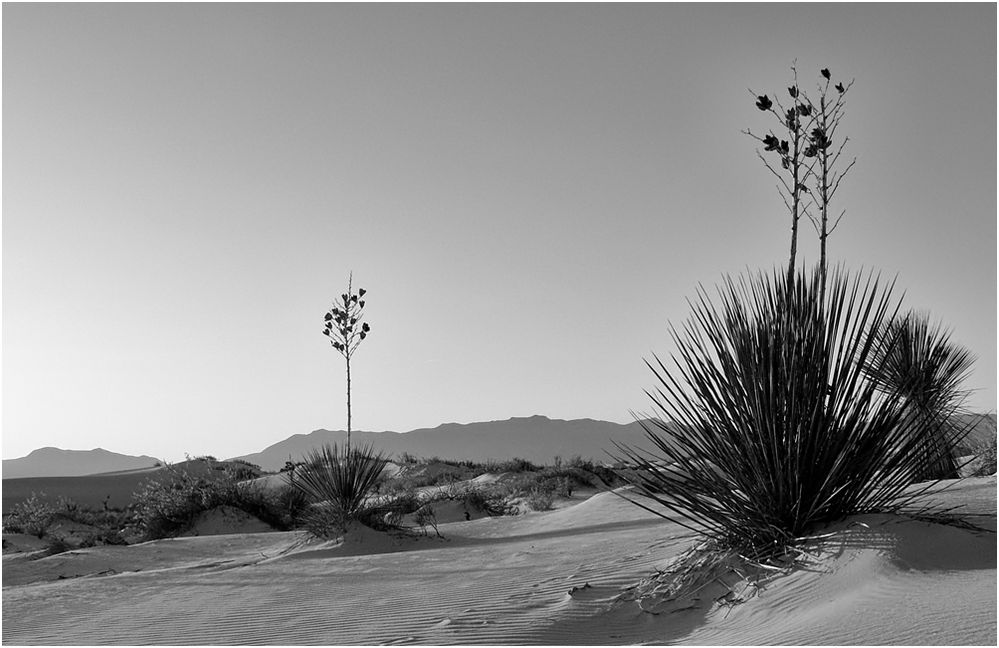 White Sands 01