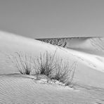 White Sands 04