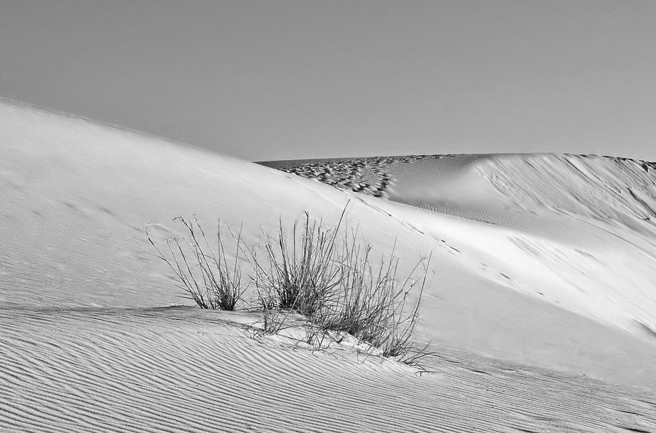 White Sands 04