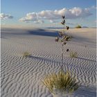 White Sands