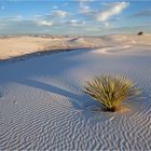 White Sands